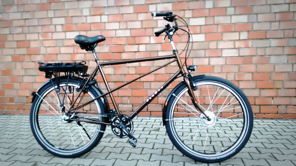 Raußen R10 E-bike| Rahmenhöhe 63 cm | braun | Ansmann Motor