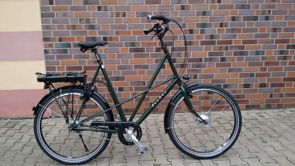Raußen R3, E-bike | Rahmenhöhe 70 cm | grün | Ansmann Motor